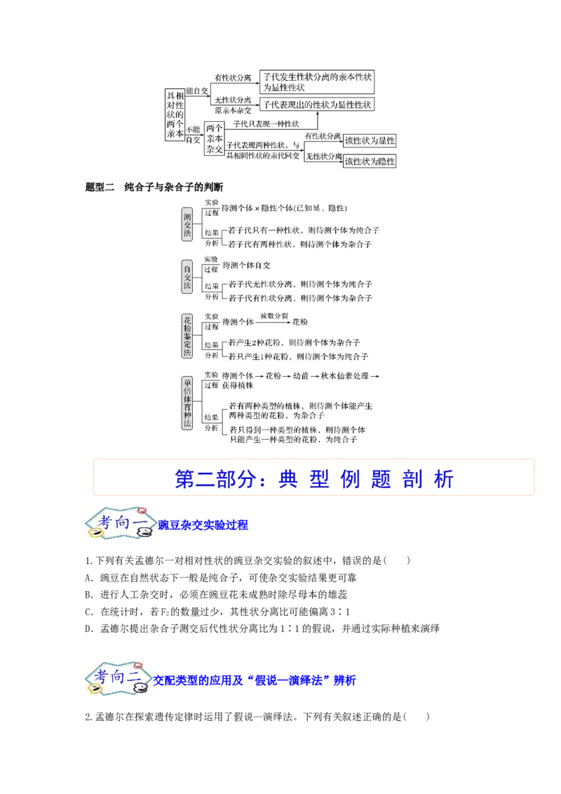 考点15基因的分离定律（核心考点讲与练）-2023年高考生物一轮复习讲练测（全国通用）（原卷版）_通用版（老高考）复习资料_2023年复习资料_一轮复习