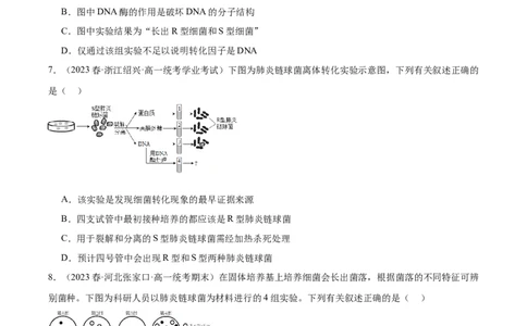 考点通关卷20DNA是主要的遗传物质（原卷版）_新高考复习资料_2024年新高考复习资料_一轮复习资料_完2024年高考生物一轮复习考点通关卷（新高考）_考点通关卷20DNA是主要的遗传物质