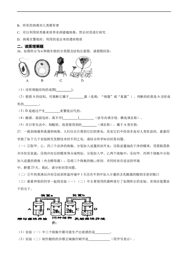 专题18细菌、真菌和病毒（习题精练）-省心备考2024年中考生物一轮复习精讲精练（全国通用）（原卷版）_6生物中考复习_2024年中考复习资料_一轮复习资料