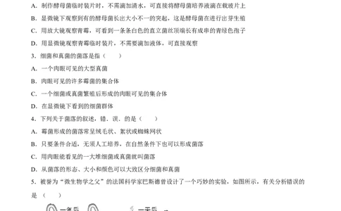 专题18细菌、真菌和病毒（习题精练）-省心备考2024年中考生物一轮复习精讲精练（全国通用）（原卷版）_6生物中考复习_2024年中考复习资料_一轮复习资料
