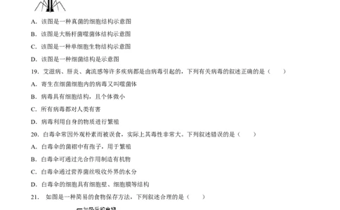 专题18细菌、真菌和病毒（习题精练）-省心备考2024年中考生物一轮复习精讲精练（全国通用）（原卷版）_6生物中考复习_2024年中考复习资料_一轮复习资料