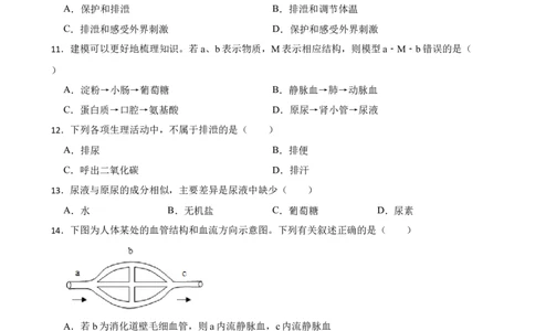 人教版2023届中考一轮复习专用训练卷&mdash;专题14人体内废物的排出（含解析）_6生物中考复习_2023年中考复习资料_一轮复习_人教版2023届中考生物一轮复习专用训练卷
