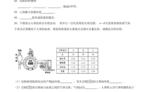 人教版2023届中考一轮复习专用训练卷&mdash;专题14人体内废物的排出（含解析）_6生物中考复习_2023年中考复习资料_一轮复习_人教版2023届中考生物一轮复习专用训练卷