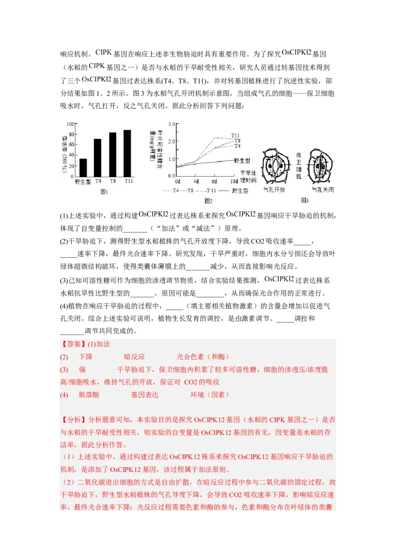 考点28植物生命活动的调节（解析版）_通用版（老高考）复习资料_2023年复习资料_一轮复习_2023年高考生物一轮复习讲练测（全国通用）
