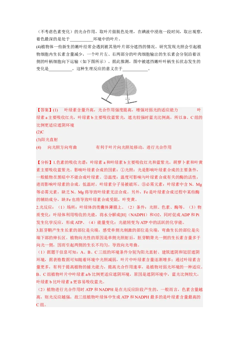 考点28植物生命活动的调节（解析版）_通用版（老高考）复习资料_2023年复习资料_一轮复习_2023年高考生物一轮复习讲练测（全国通用）