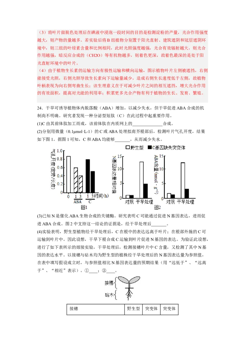 考点28植物生命活动的调节（解析版）_通用版（老高考）复习资料_2023年复习资料_一轮复习_2023年高考生物一轮复习讲练测（全国通用）