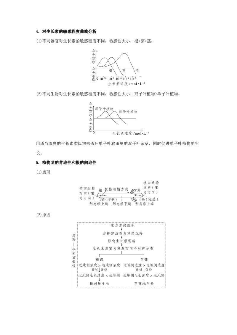 考点28植物生命活动的调节（解析版）_通用版（老高考）复习资料_2023年复习资料_一轮复习_2023年高考生物一轮复习讲练测（全国通用）