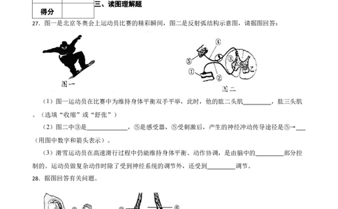 人教版2023届中考一轮复习专用训练卷&mdash;专题18动物的运动和行为（含解析）_6生物中考复习_2023年中考复习资料_一轮复习_人教版2023届中考生物一轮复习专用训练卷
