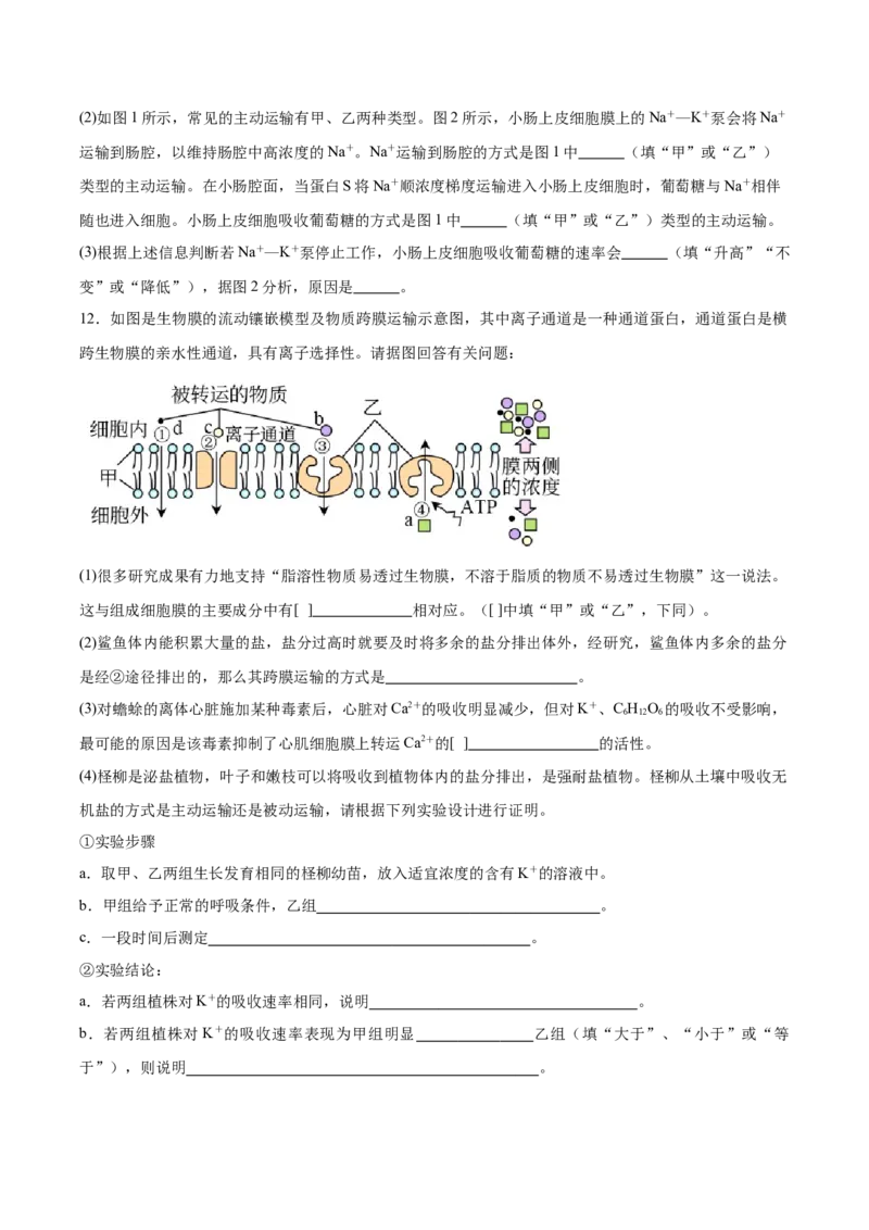 考点通关卷07物质运输（原卷版）_新高考复习资料_2025年新高考资料_2025年高考生物一轮复习考点通关卷（新高考通用）
