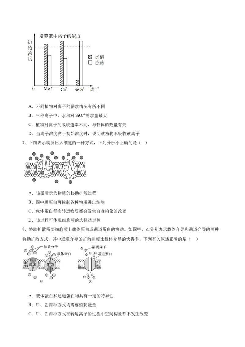 考点通关卷07物质运输（原卷版）_新高考复习资料_2025年新高考资料_2025年高考生物一轮复习考点通关卷（新高考通用）