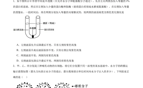 考点通关卷07物质运输（原卷版）_新高考复习资料_2025年新高考资料_2025年高考生物一轮复习考点通关卷（新高考通用）