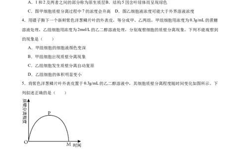 考点通关卷07物质运输（原卷版）_新高考复习资料_2025年新高考资料_2025年高考生物一轮复习考点通关卷（新高考通用）