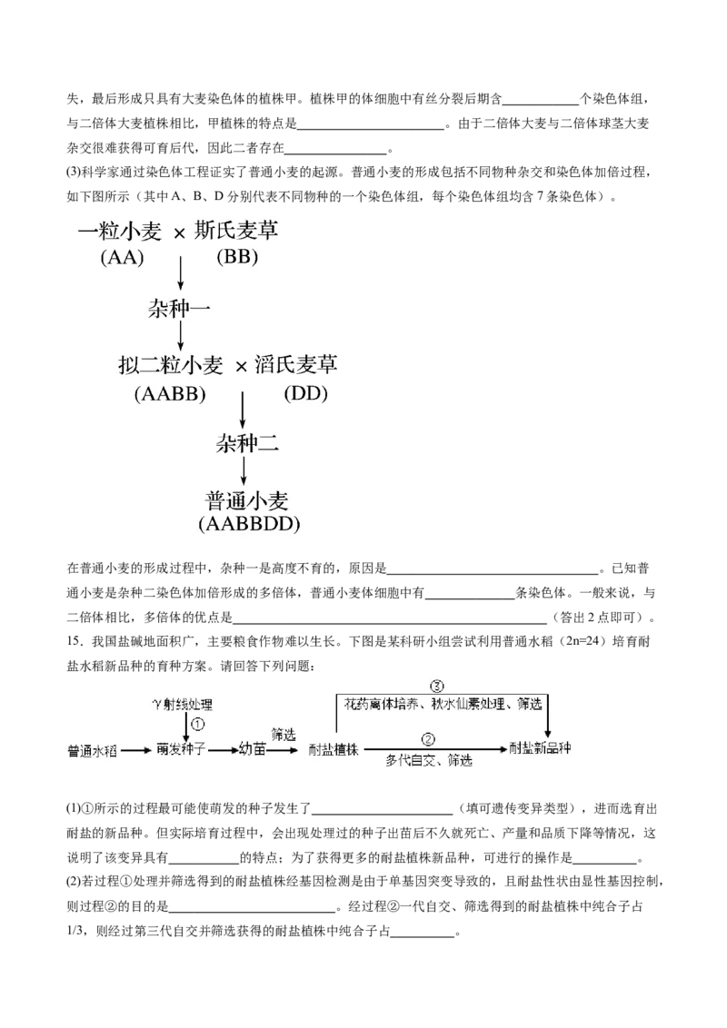 考点通关卷22生物的变异（原卷版）_2025年新高考资料_一轮复习_2025年高考生物一轮复习考点通关卷（新高考通用）