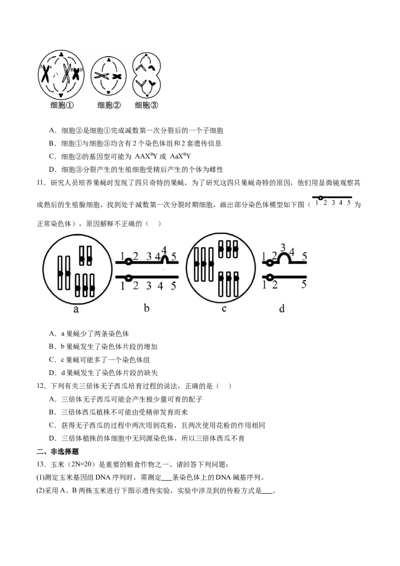 考点通关卷22生物的变异（原卷版）_2025年新高考资料_一轮复习_2025年高考生物一轮复习考点通关卷（新高考通用）