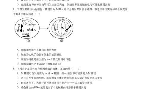 考点通关卷22生物的变异（原卷版）_2025年新高考资料_一轮复习_2025年高考生物一轮复习考点通关卷（新高考通用）