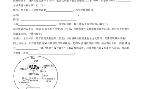 考点通关卷22生物的变异（原卷版）_2025年新高考资料_一轮复习_2025年高考生物一轮复习考点通关卷（新高考通用）