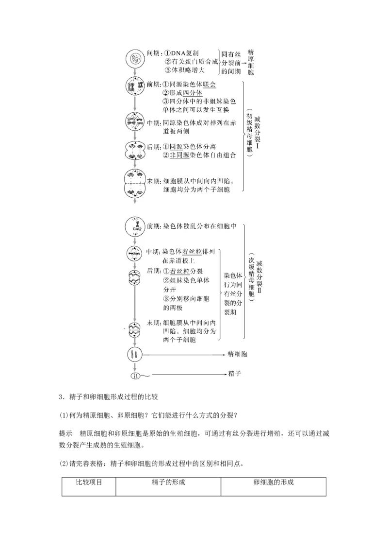 考点13细胞增殖（核心考点讲与练）-2023年高考生物一轮复习讲练测（全国通用）（解析版）_通用版（老高考）复习资料_2023年复习资料_一轮复习