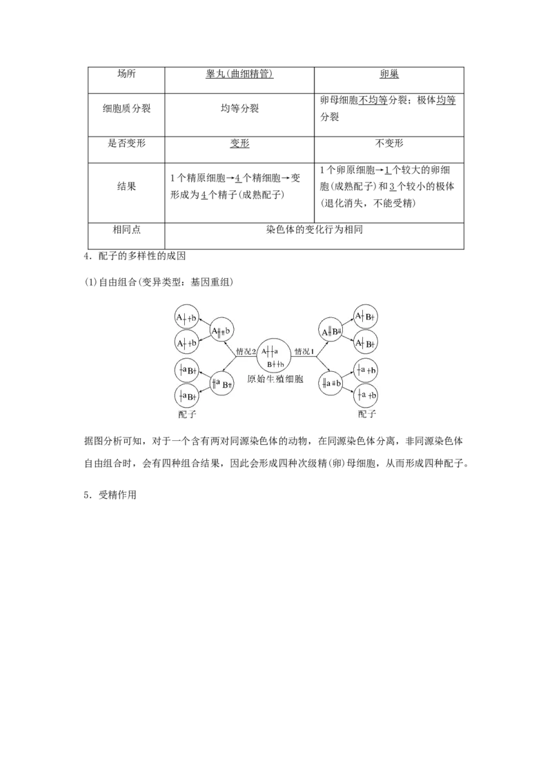 考点13细胞增殖（核心考点讲与练）-2023年高考生物一轮复习讲练测（全国通用）（解析版）_通用版（老高考）复习资料_2023年复习资料_一轮复习
