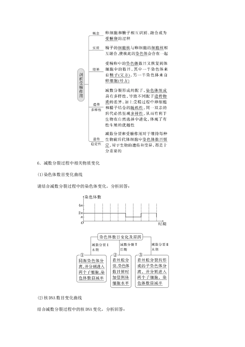 考点13细胞增殖（核心考点讲与练）-2023年高考生物一轮复习讲练测（全国通用）（解析版）_通用版（老高考）复习资料_2023年复习资料_一轮复习