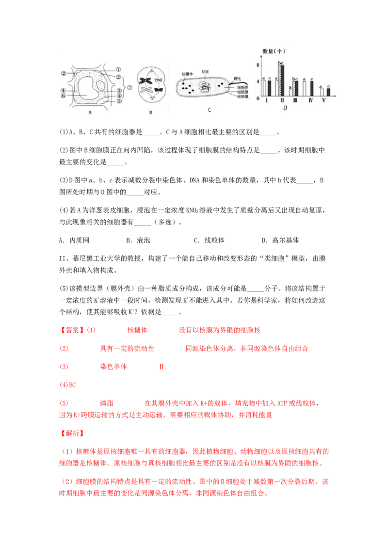 考点13细胞增殖（核心考点讲与练）-2023年高考生物一轮复习讲练测（全国通用）（解析版）_通用版（老高考）复习资料_2023年复习资料_一轮复习