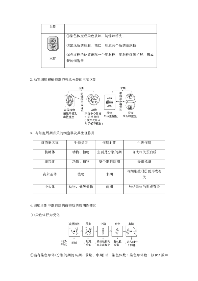 考点13细胞增殖（核心考点讲与练）-2023年高考生物一轮复习讲练测（全国通用）（解析版）_通用版（老高考）复习资料_2023年复习资料_一轮复习