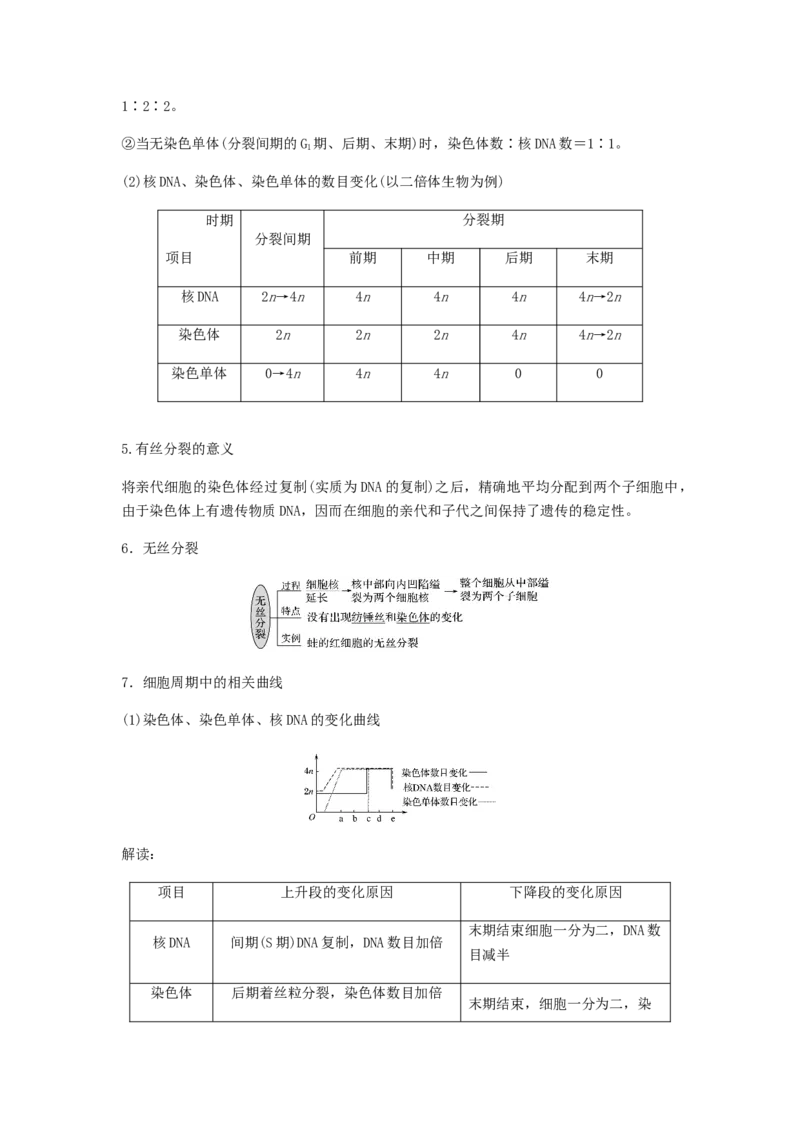 考点13细胞增殖（核心考点讲与练）-2023年高考生物一轮复习讲练测（全国通用）（解析版）_通用版（老高考）复习资料_2023年复习资料_一轮复习