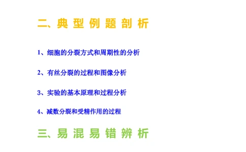 考点13细胞增殖（核心考点讲与练）-2023年高考生物一轮复习讲练测（全国通用）（解析版）_通用版（老高考）复习资料_2023年复习资料_一轮复习