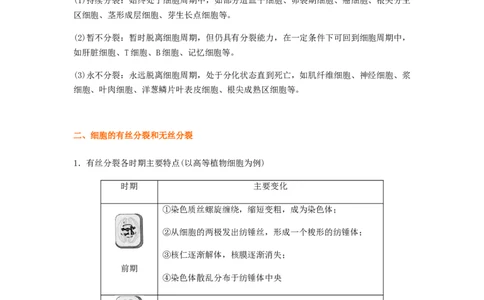 考点13细胞增殖（核心考点讲与练）-2023年高考生物一轮复习讲练测（全国通用）（解析版）_通用版（老高考）复习资料_2023年复习资料_一轮复习