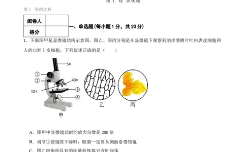 人教版2023届中考一轮复习专用训练卷&mdash;专题3细胞是生命活动的基本单位（二）（含解析）_6生物中考复习_2023年中考复习资料_一轮复习_人教版2023届中考生物一轮复习专用训练卷