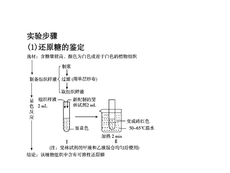 考点精讲2细胞中的元素和化合物（教案）_新高考复习资料_2022年新高考复习资料_2022届一轮复习讲练结合7.13更新_系列二_考点精讲2细胞中的元素和化合物