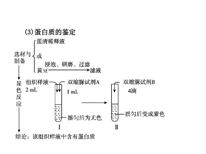 考点精讲2细胞中的元素和化合物（教案）_新高考复习资料_2022年新高考复习资料_2022届一轮复习讲练结合7.13更新_系列二_考点精讲2细胞中的元素和化合物