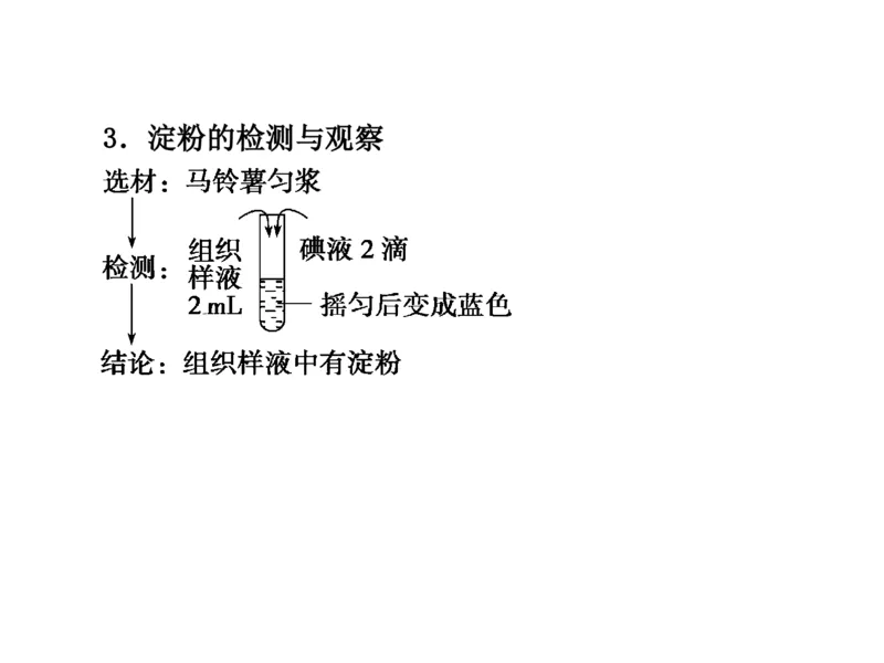 考点精讲2细胞中的元素和化合物（教案）_新高考复习资料_2022年新高考复习资料_2022届一轮复习讲练结合7.13更新_系列二_考点精讲2细胞中的元素和化合物