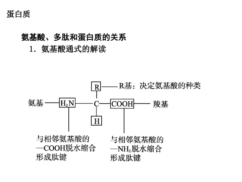 考点精讲2细胞中的元素和化合物（教案）_新高考复习资料_2022年新高考复习资料_2022届一轮复习讲练结合7.13更新_系列二_考点精讲2细胞中的元素和化合物