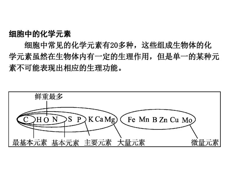 考点精讲2细胞中的元素和化合物（教案）_新高考复习资料_2022年新高考复习资料_2022届一轮复习讲练结合7.13更新_系列二_考点精讲2细胞中的元素和化合物