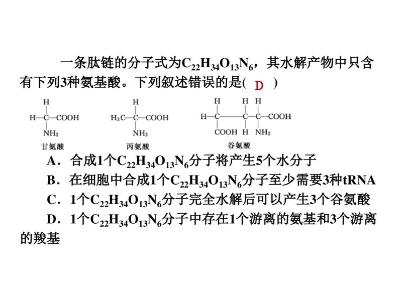 考点精讲2细胞中的元素和化合物（教案）_新高考复习资料_2022年新高考复习资料_2022届一轮复习讲练结合7.13更新_系列二_考点精讲2细胞中的元素和化合物