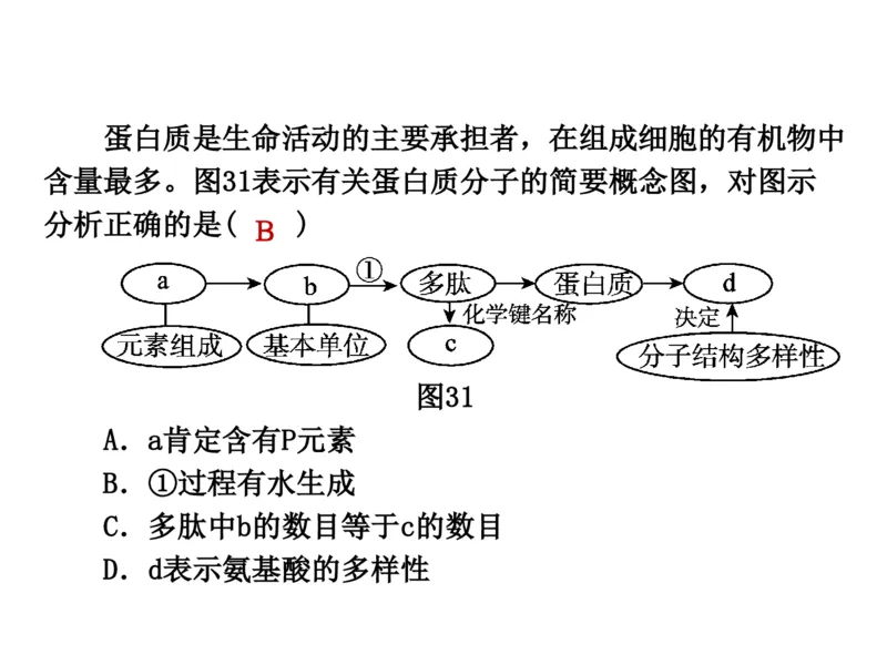 考点精讲2细胞中的元素和化合物（教案）_新高考复习资料_2022年新高考复习资料_2022届一轮复习讲练结合7.13更新_系列二_考点精讲2细胞中的元素和化合物