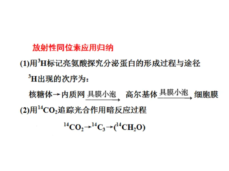 考点精讲2细胞中的元素和化合物（教案）_新高考复习资料_2022年新高考复习资料_2022届一轮复习讲练结合7.13更新_系列二_考点精讲2细胞中的元素和化合物