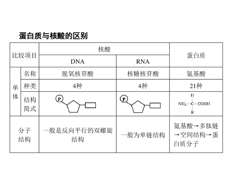 考点精讲2细胞中的元素和化合物（教案）_新高考复习资料_2022年新高考复习资料_2022届一轮复习讲练结合7.13更新_系列二_考点精讲2细胞中的元素和化合物