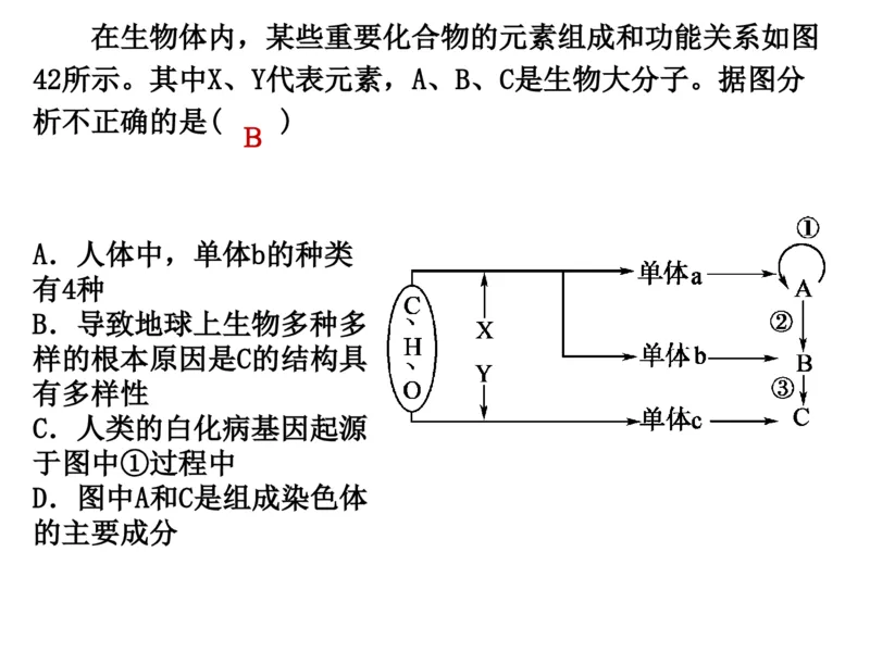 考点精讲2细胞中的元素和化合物（教案）_新高考复习资料_2022年新高考复习资料_2022届一轮复习讲练结合7.13更新_系列二_考点精讲2细胞中的元素和化合物