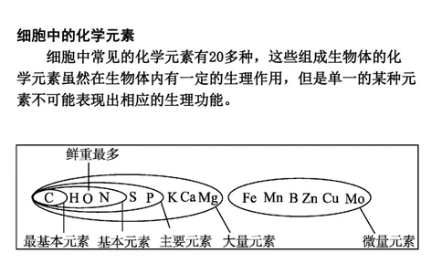 考点精讲2细胞中的元素和化合物（教案）_新高考复习资料_2022年新高考复习资料_2022届一轮复习讲练结合7.13更新_系列二_考点精讲2细胞中的元素和化合物