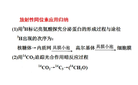 考点精讲2细胞中的元素和化合物（教案）_新高考复习资料_2022年新高考复习资料_2022届一轮复习讲练结合7.13更新_系列二_考点精讲2细胞中的元素和化合物