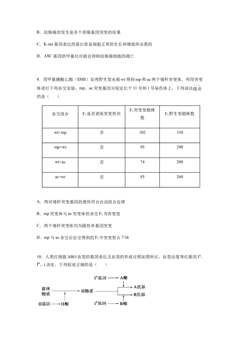考点21基因突变和基因重组（原卷版）_通用版（老高考）复习资料_2023年复习资料_一轮复习_2023年高考生物一轮复习讲练测（全国通用）