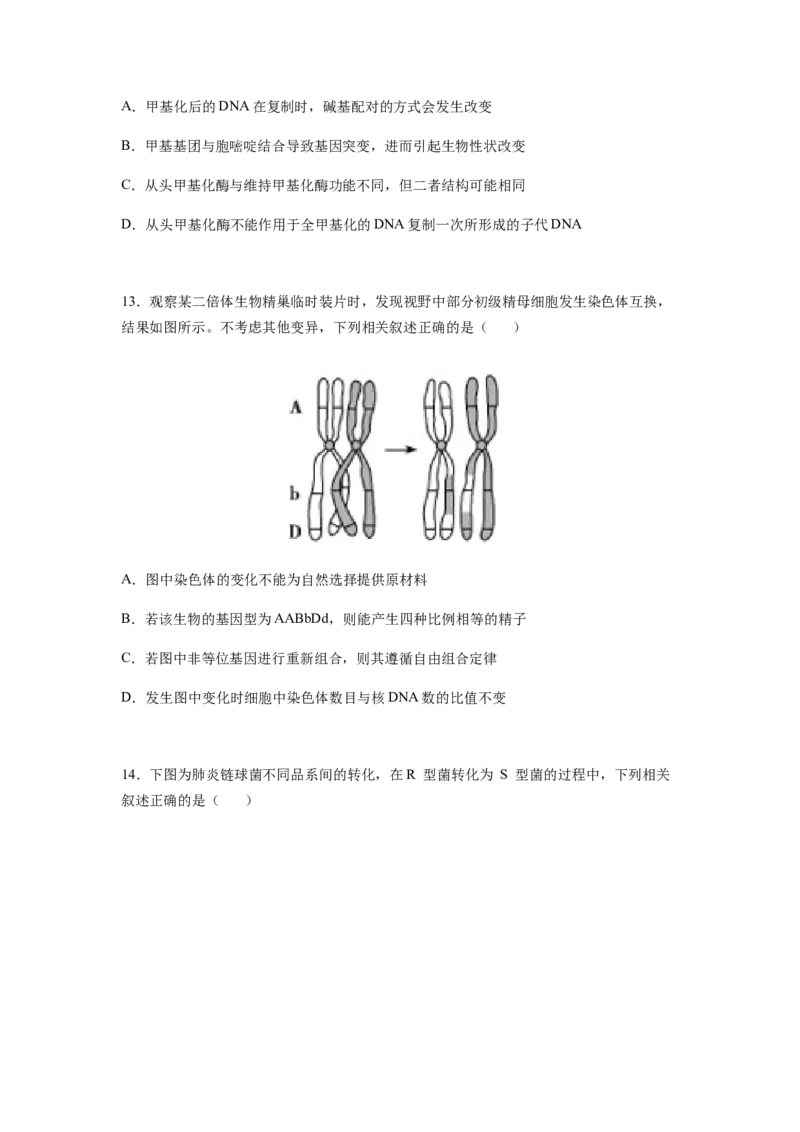 考点21基因突变和基因重组（原卷版）_通用版（老高考）复习资料_2023年复习资料_一轮复习_2023年高考生物一轮复习讲练测（全国通用）