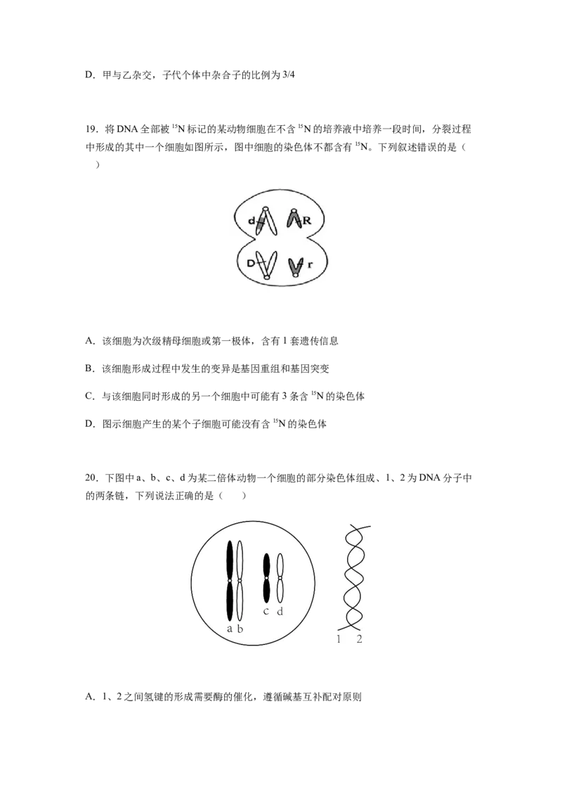 考点21基因突变和基因重组（原卷版）_通用版（老高考）复习资料_2023年复习资料_一轮复习_2023年高考生物一轮复习讲练测（全国通用）