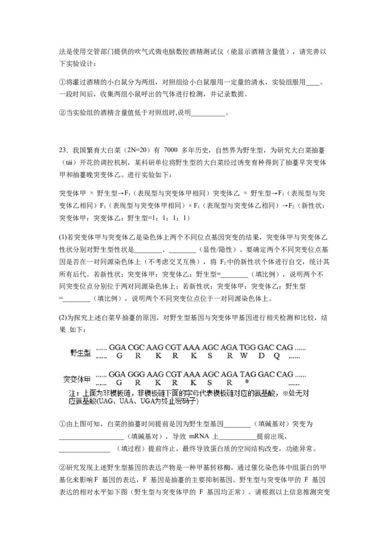 考点21基因突变和基因重组（原卷版）_通用版（老高考）复习资料_2023年复习资料_一轮复习_2023年高考生物一轮复习讲练测（全国通用）