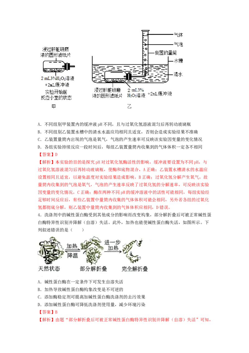 考点10ATP和酶（解析版）_通用版（老高考）复习资料_2023年复习资料_一轮复习_2023年高考生物一轮复习讲练测（全国通用）