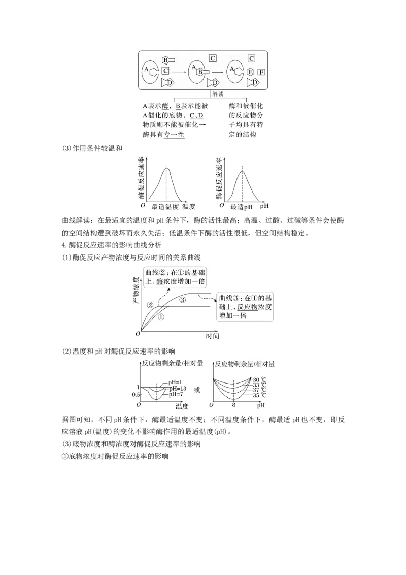 考点10ATP和酶（解析版）_通用版（老高考）复习资料_2023年复习资料_一轮复习_2023年高考生物一轮复习讲练测（全国通用）