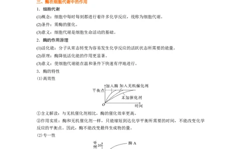 考点10ATP和酶（解析版）_通用版（老高考）复习资料_2023年复习资料_一轮复习_2023年高考生物一轮复习讲练测（全国通用）