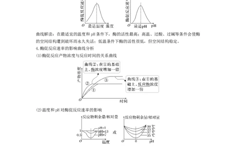 考点10ATP和酶（解析版）_通用版（老高考）复习资料_2023年复习资料_一轮复习_2023年高考生物一轮复习讲练测（全国通用）