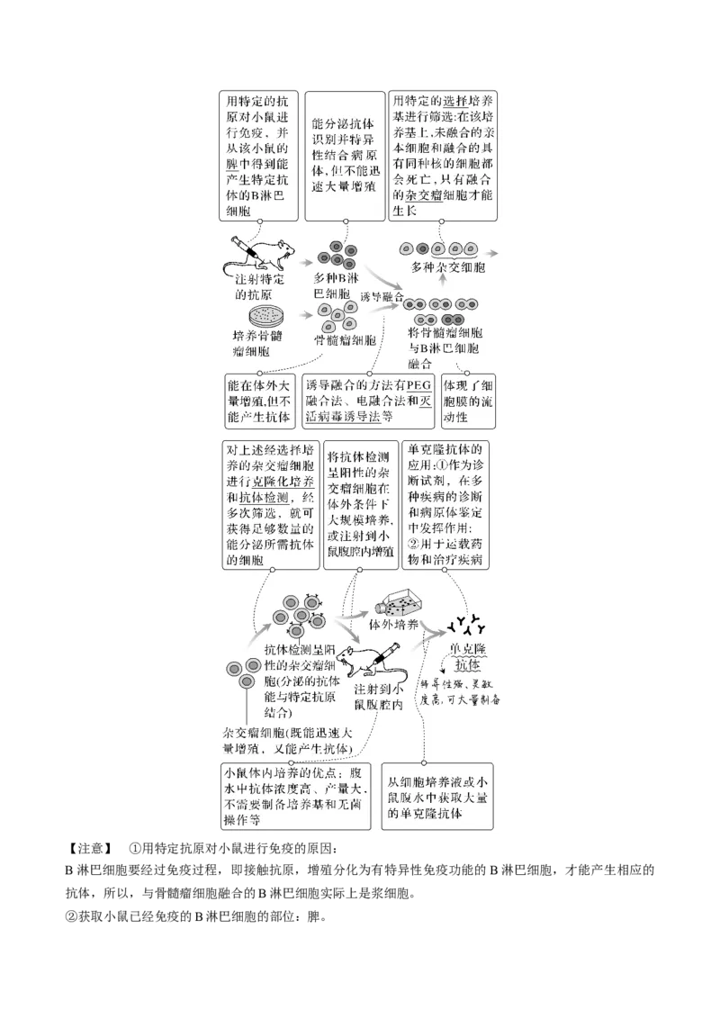 考向27细胞工程-备战2023年高考生物一轮复习考点微专题（全国通用）（原卷版）_通用版（老高考）复习资料_2023年复习资料_一轮复习_备战2023年高考生物一轮复习考点微专题（全国通用）